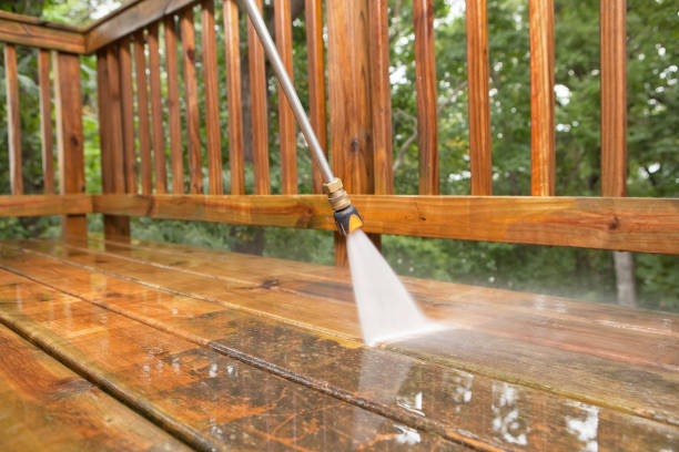 Animal Enclosure Cleaning in Massac, KY